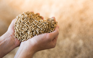 Semințe de Plante Furajere: Calitate și Preț în Agricultura Durabilă