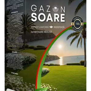 Semințe Gazon Soare 1kg