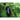 SEMINTE DE Vinete VERONICA 100 SEMINTE