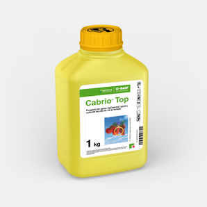 Fungicid CABRIO TOP - 1 KG