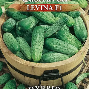 Seminte castraveti Levina F1 – 5 gr
