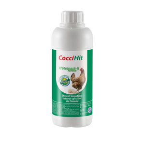 CocciHit - 1L