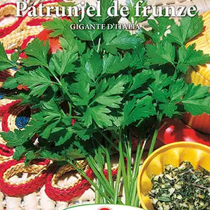 Seminte patrunjel frunze Gigante D`Italia - 5 gr