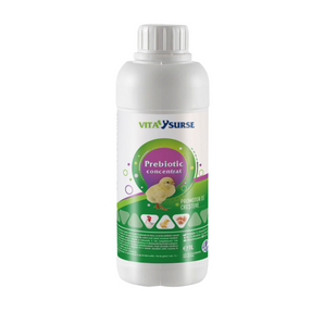 VITA SURSE Prebiotic Concentrat - 1L