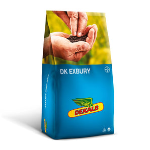 Rapiță  DK EXBURY