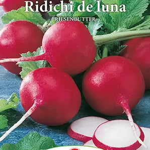 Seminte ridichi De Luna Riesenbutter - 5 gr