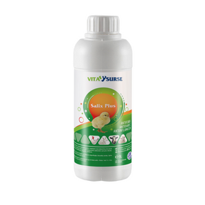 VITA SURSE Salix Plus – Atiinflamator - Antipiretic - Antidiareic - 100ML
