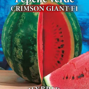 Seminte pepene verde Crimson Giant F1 - 3 gr