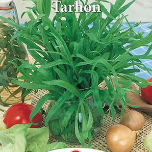 Seminte Tarhon - 5 gr