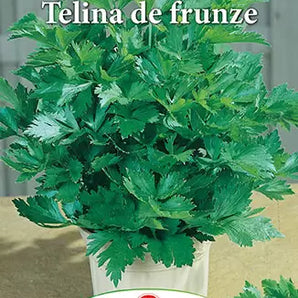 Seminte telina Frunze - 5 gr