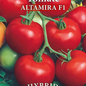 Seminte tomate Altamira F1 - 5 gr