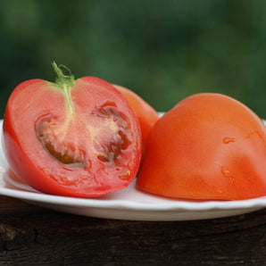 SEMINTE DE Tomate Zaraza 100 SEMINTE