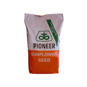 Seminte floarea soarelui PIONEER P64 LE 162 - Lumisena - 150.000 Boabe