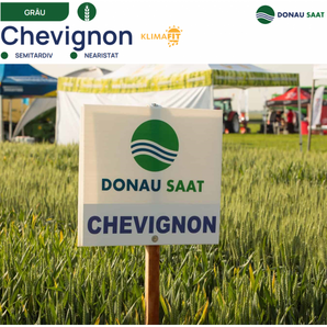 SEMINTE GRAU DE TOAMNA CHEVIGNON C1, 30 KG, DONAU SAAT