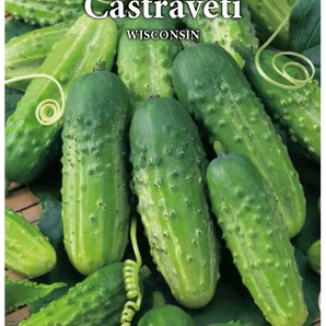 Castraveti Wisconsin